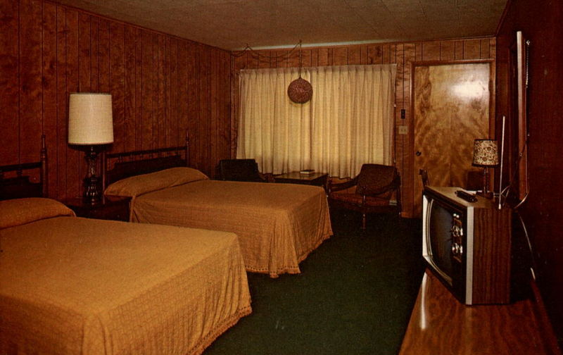 Bambi Motel - Vintage Postcard